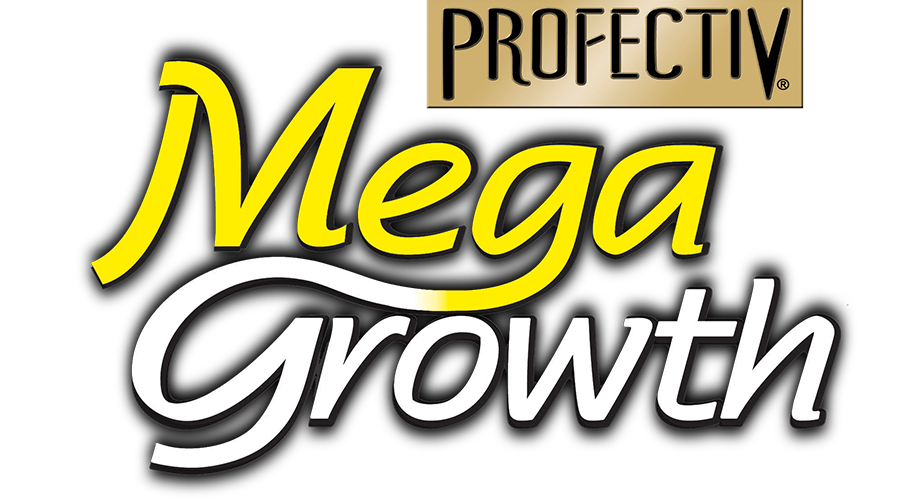 Mega Growth